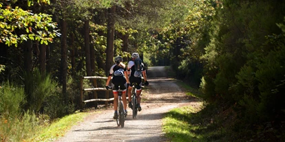 Mountainbike Urlaub - kostenloser Verleih von GPS Geräten - Deersheim - Sporthotel Schulenberg
