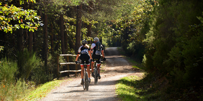 Mountainbike Urlaub - kostenloser Verleih von GPS Geräten - Liebenburg - Sporthotel Schulenberg