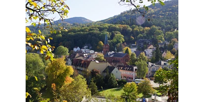 Mountainbike Urlaub - Therme - Eisenbach (Hochschwarzwald) - Ortsansicht - Hotel Morgensonne