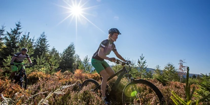 Mountainbike Urlaub - Biketransport: öffentliche Verkehrsmittel - Kehl - Wellness Hotel Tanne Tonbach