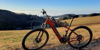Mountainbike Urlaub - Biketransport: Bike-Shuttle - Steinen (Landkreis Lörrach) - Waldhotel am Notschreipass