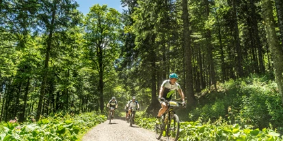 Mountainbike Urlaub - barrierefrei - Mühlenbach - Waldhotel am Notschreipass