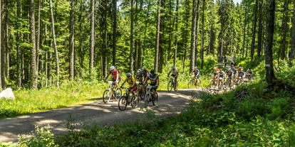 Mountainbike Urlaub - Bikeverleih beim Hotel: E-Mountainbikes - Mühlenbach - Waldhotel am Notschreipass