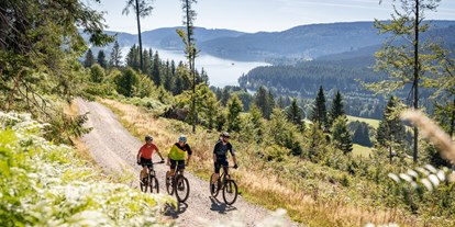 Mountainbike Urlaub - Biketransport: öffentliche Verkehrsmittel - Arlesheim - Waldhotel am Notschreipass