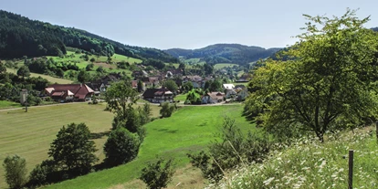 Mountainbike Urlaub - Hallenbad - Mühlenbach - Prinzbach - Das Dorf - Hotel Badischer Hof