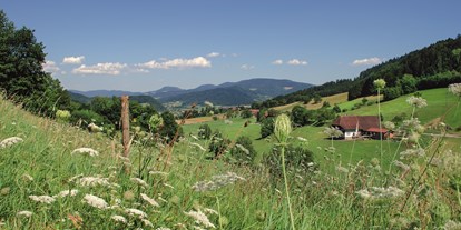 Mountainbike Urlaub - Bikeparks - Brigachtal - Landschaft rund um Prinzbach - Hotel Badischer Hof