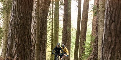 Mountainbike Urlaub - Wellnessbereich - Habichtswald - Trails auf dem Weg zur Weidelsburg - Landhotel Sonneneck