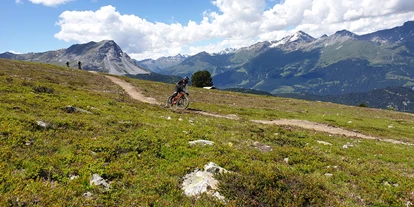 Mountainbike Urlaub - Preisniveau: günstig - St. Leonhard (Trentino-Südtirol) - Zirmtrail - Hotel Bergblick