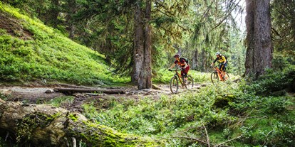 Mountainbike Urlaub - Bikeverleih beim Hotel: Mountainbikes - Hotel Das Neuhaus****S