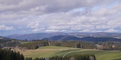 Mountainbike Urlaub - Umgebungsschwerpunkt: Berg - Steinen (Landkreis Lörrach) - Umgebung - Thurner Wirtshaus