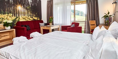 Mountainbike Urlaub - Fahrradwaschplatz - PLZ 94481 (Deutschland) - Superior Doppelzimmer Linde - Hotel der Bäume