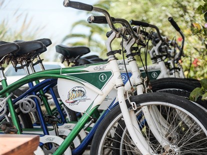 Mountainbike Urlaub - Biketransport: sonstige Transportmöglichkeiten - Portugal - Da Silva Bike Camp Portugal