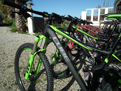 Mountainbike Urlaub - Umgebungsschwerpunkt: Meer - Da Silva Bike Camp Portugal