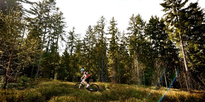 Mountainbike Urlaub - Umgebungsschwerpunkt: Berg - PLZ 4162 (Österreich) - Erkunden Sie mit dem MTB die wundervolle Natur direkt vor der Haustür - Das Reiners