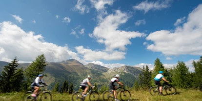 Mountainbike Urlaub - geführte MTB-Touren - Gries (Rennweg am Katschberg) - Biketour Region Nockberge - Slow Travel Resort Kirchleitn