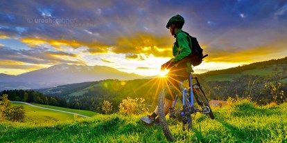 Mountainbike Urlaub - Hotel-Schwerpunkt: Mountainbike & Familie - Rain (Ebenthal in Kärnten, Poggersdorf) - Pension Pirkdorfer See