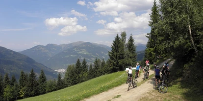 Mountainbike Urlaub - Hotel-Schwerpunkt: Mountainbike & Kulinarik - Steinwand (Krems in Kärnten, Rennweg am Katschberg) - Ortners Eschenhof