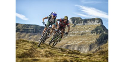 Mountainbike Urlaub - Bikeverleih beim Hotel: Mountainbikes - Sarstein (Bad Goisern am Hallstättersee) - DAS Hintersee