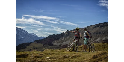 Mountainbike Urlaub - Verpflegung: Frühstück - Oberfeichten - Blick auf die Berge im Salzburgerland - DAS Hintersee