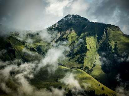 Mountainbike Urlaub - Elektrolytgetränke - Mayrhofen (Saalfelden am Steinernen Meer) - THOMSN - Alpine Rock Hotel