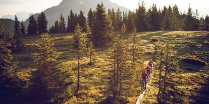 Mountainbike Urlaub - organisierter Transport zu Touren - Grießen (Leogang) - Naturhotel Schütterbad