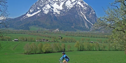Mountainbike Urlaub - PLZ 8982 (Österreich) - Ennstalradweg R7
Dieser sportliche, rund 250 Kilometer lange Radweg vom Ursprung der Enns bis zu ihrer Mündung in die Donau führt durch drei Bundesländer - Salzburg, Steiermark und Oberösterreich.
Auch an unserem Haus führt der Ennstalradweg R7 entlang und selbst, wenn Sie nicht die ganze Strecke fahren möchten, bietet er auch in Teiletappen puren Radspaß für die ganze Familie. Das herrliche Panorama und reizvolle Strecken über Wiesen und entlang der Enns werden Sie beeindrucken. - Kirchenwirt Aigen