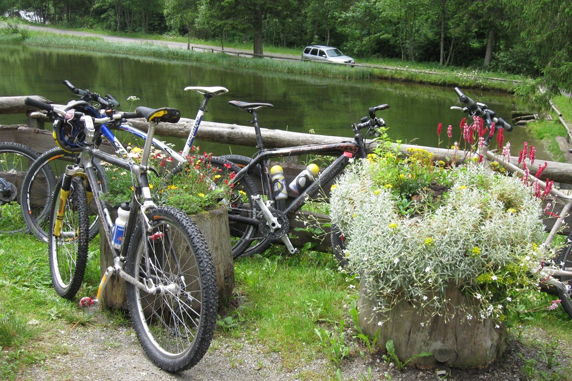 Mountainbikehotel: Mountainbiken in herrlicher und unberührter Natur - Hotel Zum Jungen Römer