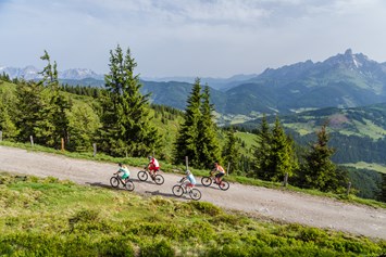 Mountainbikehotel: Radgenuss in der Sportwelt Amade  - Hotel Zum Jungen Römer