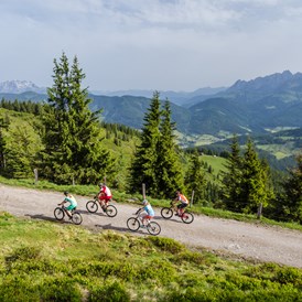 Mountainbikehotel: Radgenuss in der Sportwelt Amade  - Hotel Zum Jungen Römer