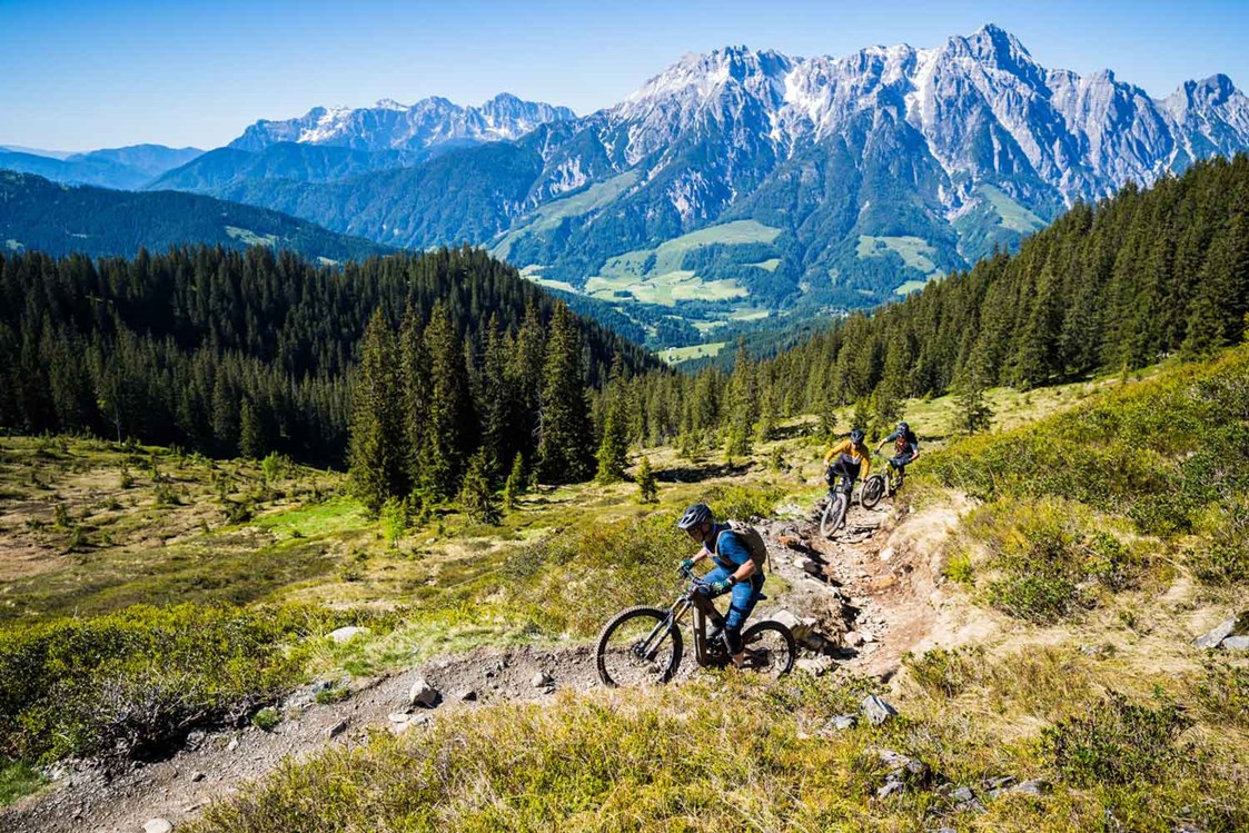 Mountainbikehotel: Österreichs größte Bikeregion
Saalbach-Hinterglemm-Leogang-Fieberbrunn - The RESI Apartments "mit Mehrwert"