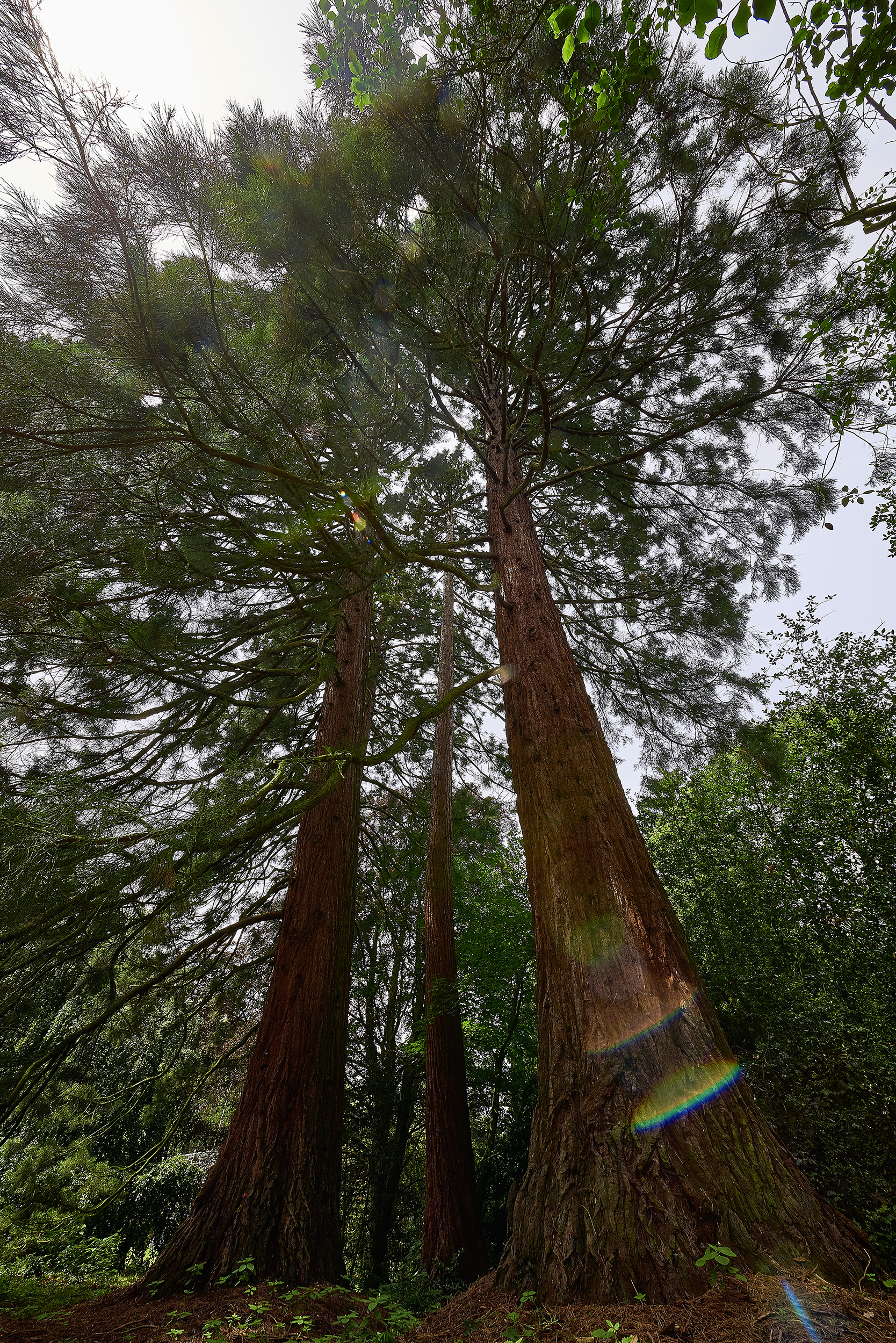 Mountainbikehotel: Dorint Hotel Frankfurt / Oberursel 