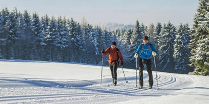 Mountainbike Urlaub - Umgebungsschwerpunkt: See - The Conscious Farmer B&B