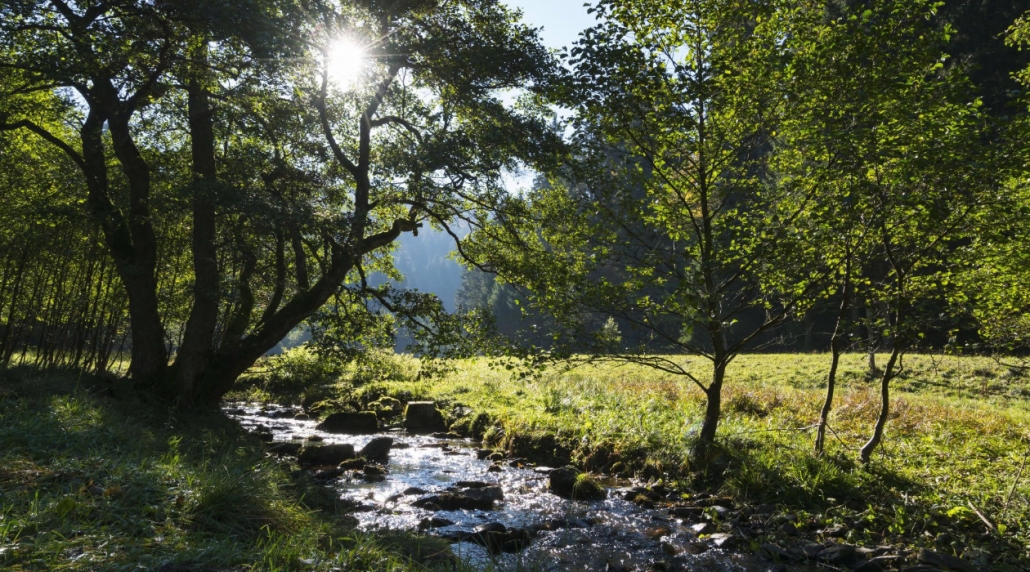 Mountainbikehotel: The Conscious Farmer B&B