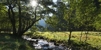 Mountainbike Urlaub - Umgebungsschwerpunkt: See - The Conscious Farmer B&B