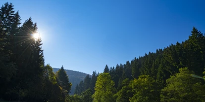 Mountainbike Urlaub - Umgebungsschwerpunkt: See - The Conscious Farmer B&B