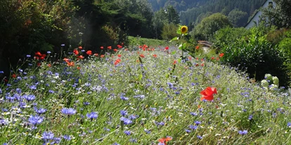 Mountainbike Urlaub - Umgebungsschwerpunkt: See - The Conscious Farmer B&B