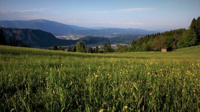 Mountainbikehotel: Aussicht vom Naturgut Gailtal - Naturgut Gailtal