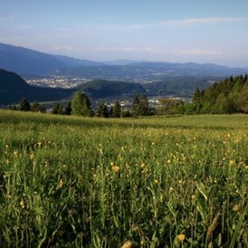 Mountainbikehotel: Aussicht vom Naturgut Gailtal - Naturgut Gailtal