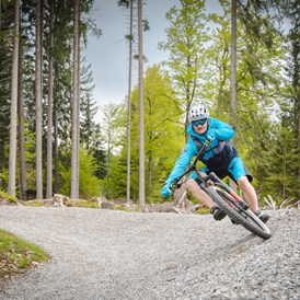 Mountainbikehotel: FLOW TRAIL „MEX - LINE 1“ - Naturgut Gailtal