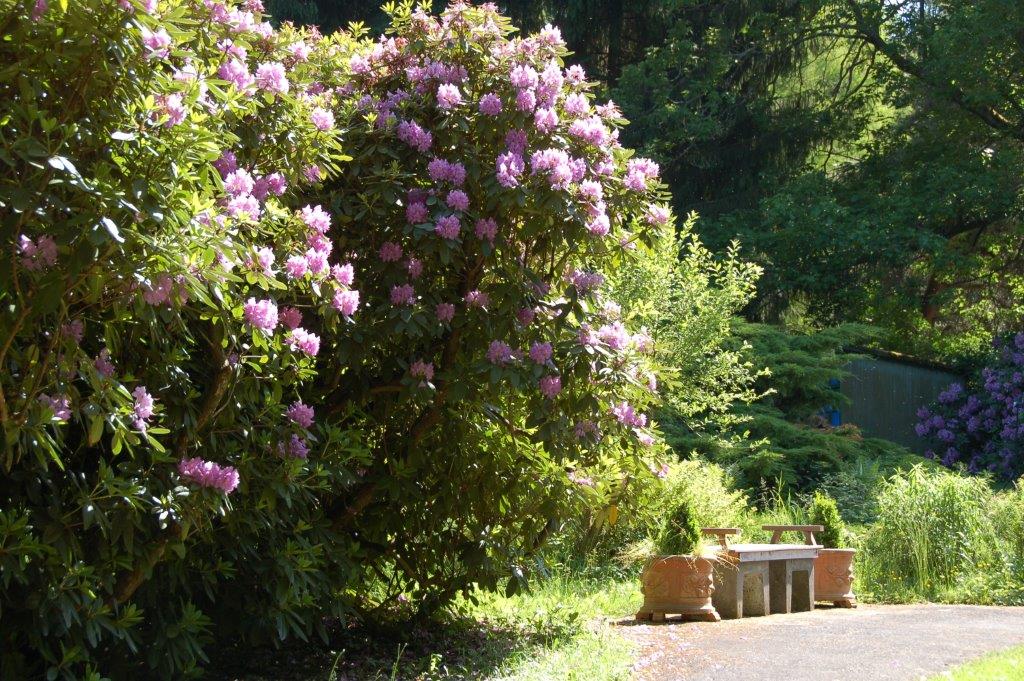 Mountainbikehotel: Hotel Orbtal