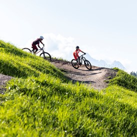 Mountainbikehotel: Biken - Der Gollinger