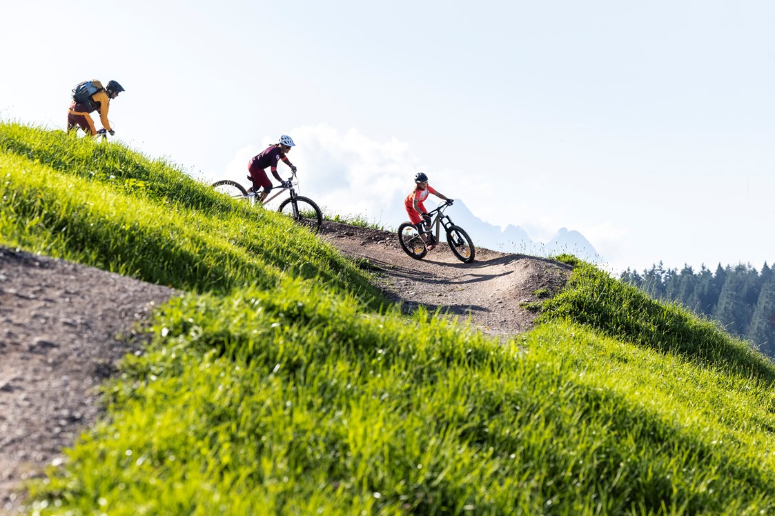 Mountainbikehotel: Biken - Der Gollinger