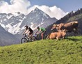 Mountainbikehotel: Panoramahotel Oberjoch