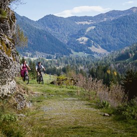 Mountainbikehotel: Torghele's Wald & Fluh