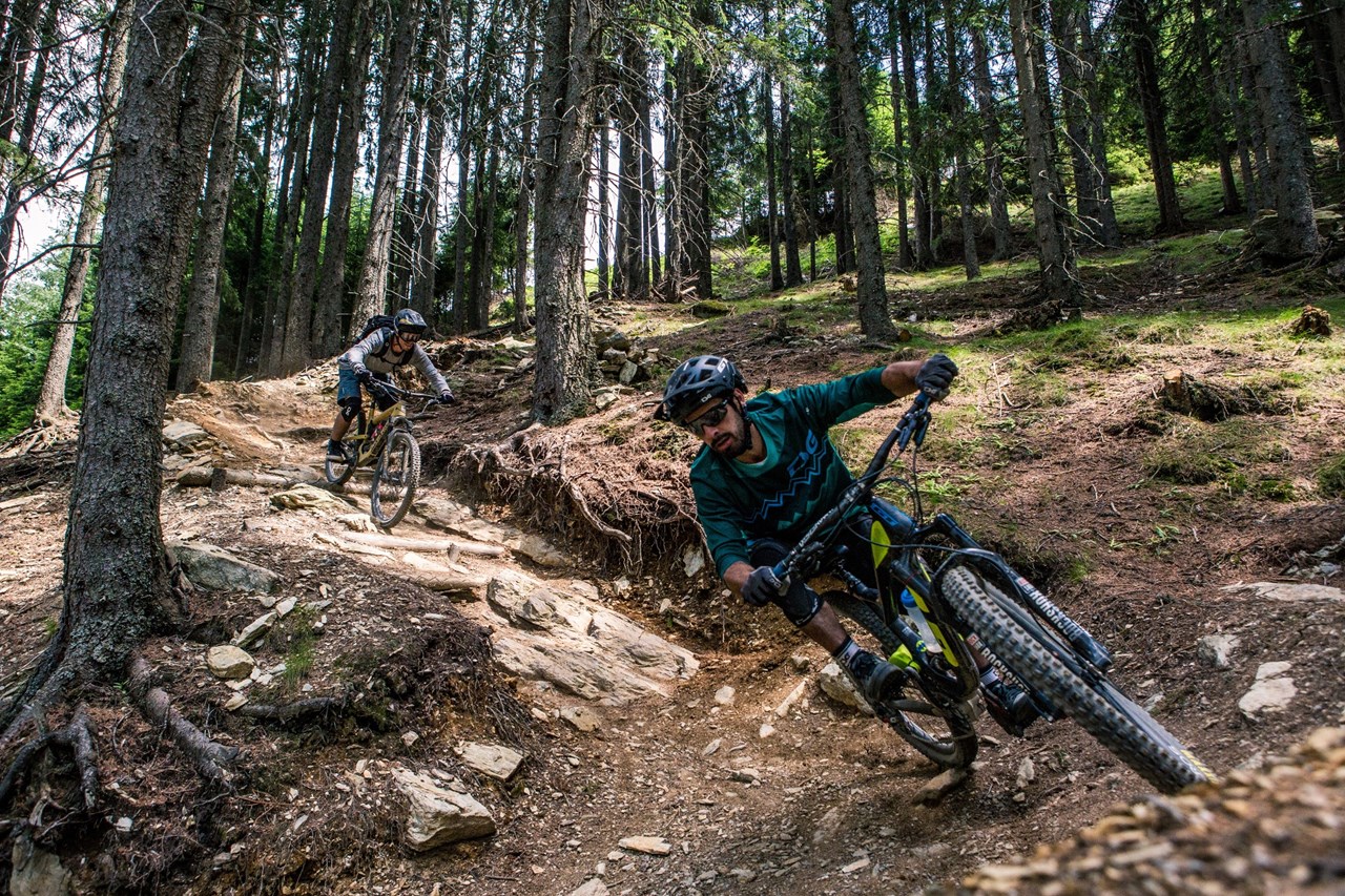 Lindlinghof Trail Übersicht X-Line