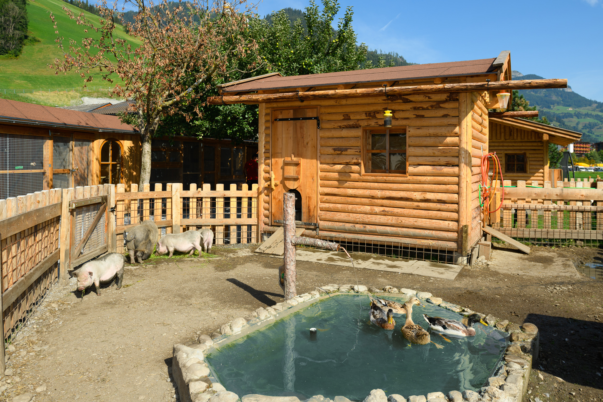 Mountainbikehotel: Hotel Auhof