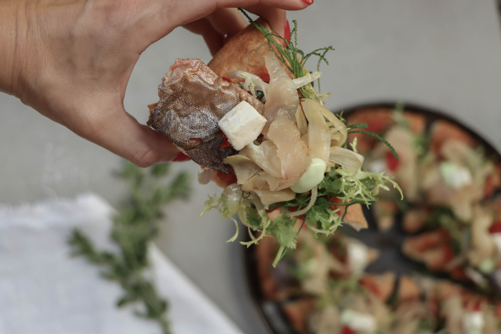 Mountainbikehotel: Hotel Bergzeit