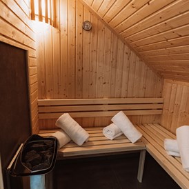 Mountainbikehotel: Sauna im Clemensberg Apartment - My Lodge Winterberg