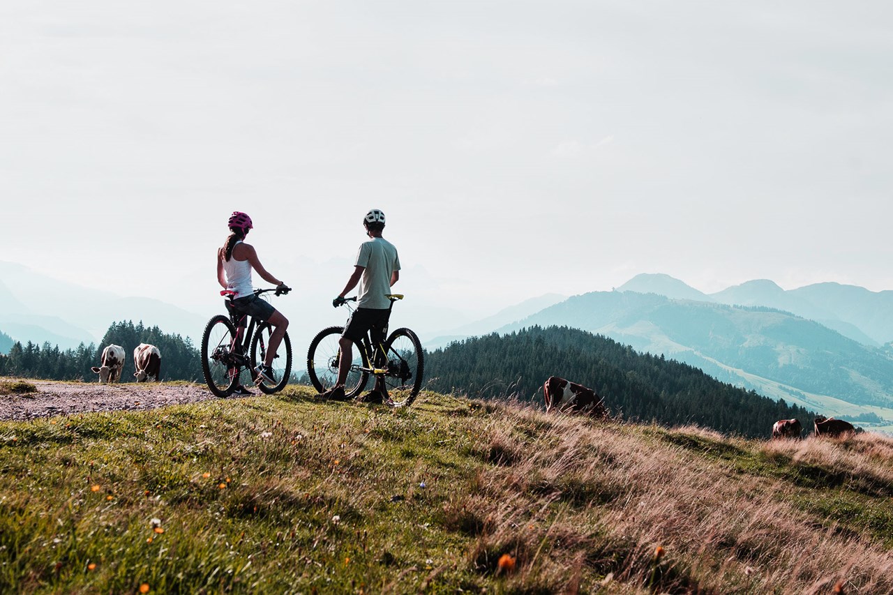 Hotel Salzburger Hof Leogang Touren Übersicht E-Bike Tour zu den Griessner Almen