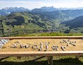 Mountainbikehotel: Gipfelspielplätze und ideale Infrastruktur im gesamten Tal - Ferienwohnungen Perfeldhof